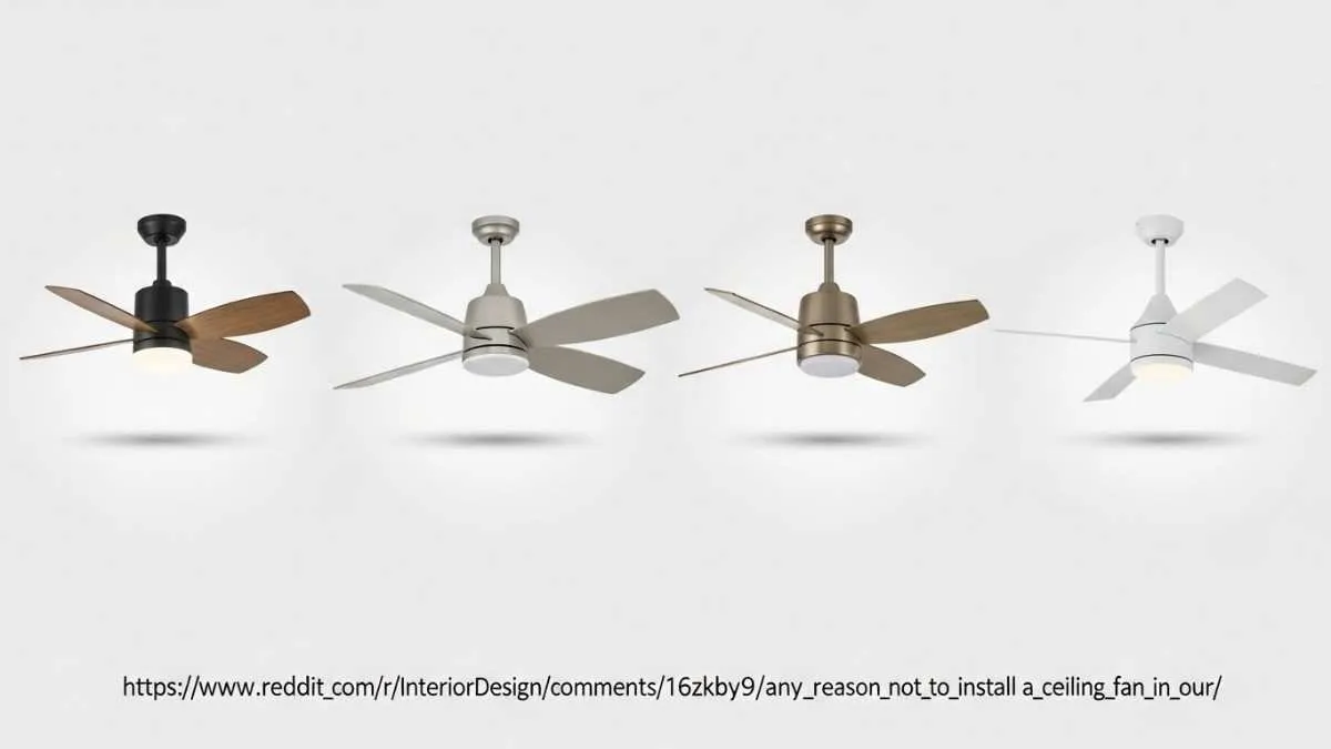 Ceiling Fan in Your Living Room