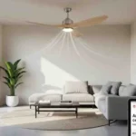 Ceiling Fan in Your Living Room