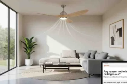 Ceiling Fan in Your Living Room