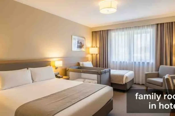 family room in hotels