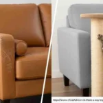 how to protect leather sofa from cats