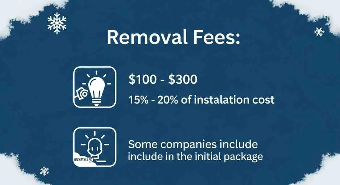 how much does professional christmas lighting cost