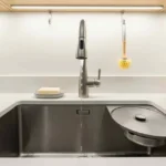 roaches in kitchen sink