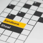 https://dazepuzzle.com/sandbank-nyt-crossword-clue/