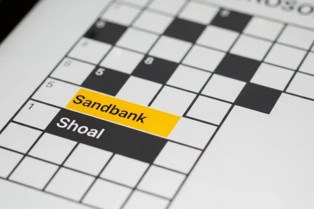 https://dazepuzzle.com/sandbank-nyt-crossword-clue/