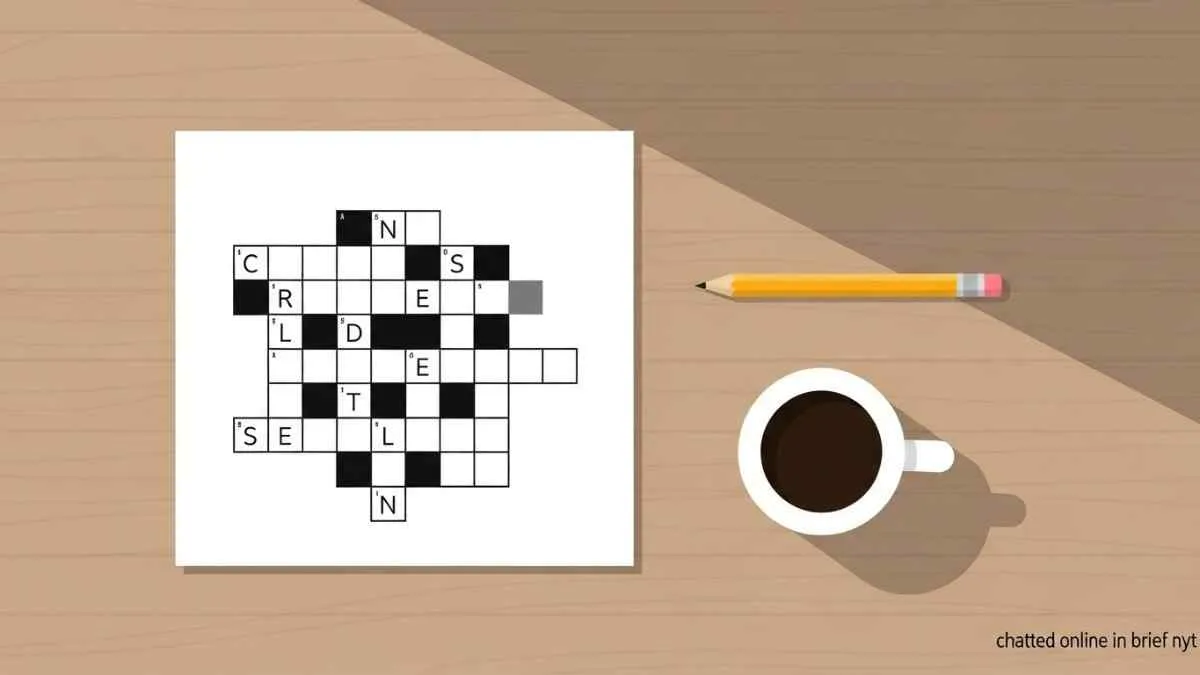 chatted online in brief nyt