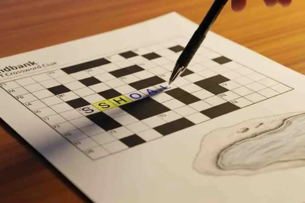 https://tryhardguides.com/sandbank-crossword-clue/