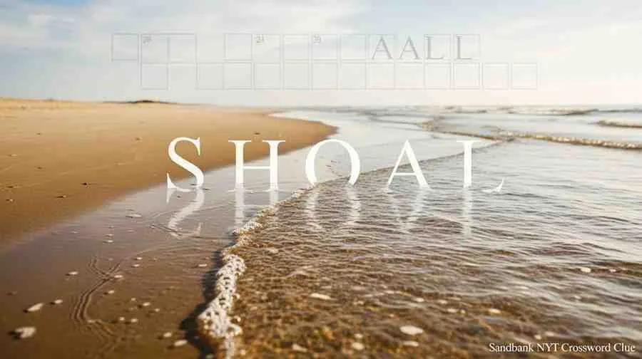 Sandbank NYT Crossword Clue – Complete Answer Guide & Explanation (2025) 20 https://tryhardguides.com/sandbank-crossword-clue/