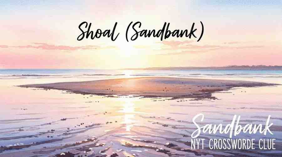 Sandbank NYT Crossword Clue – Complete Answer Guide & Explanation (2025) 19 https://tryhardguides.com/sandbank-crossword-clue/