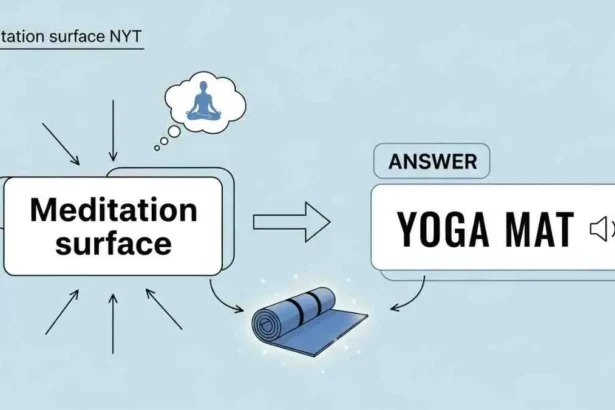 meditation surface nyt