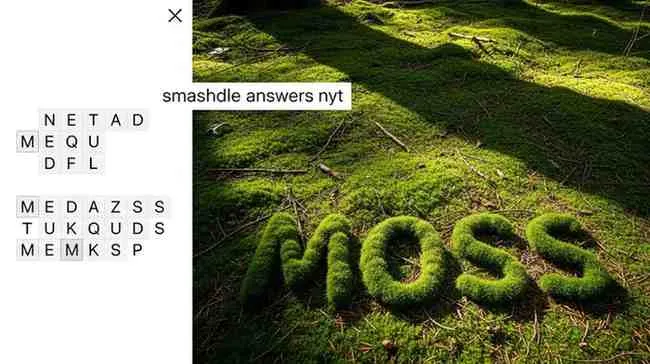 smashdle answers nyt