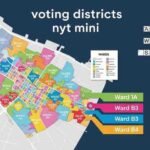 voting districts nyt mini