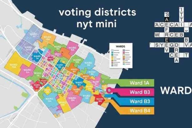 voting districts nyt mini