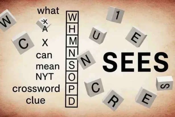 what x can mean nyt crossword clue