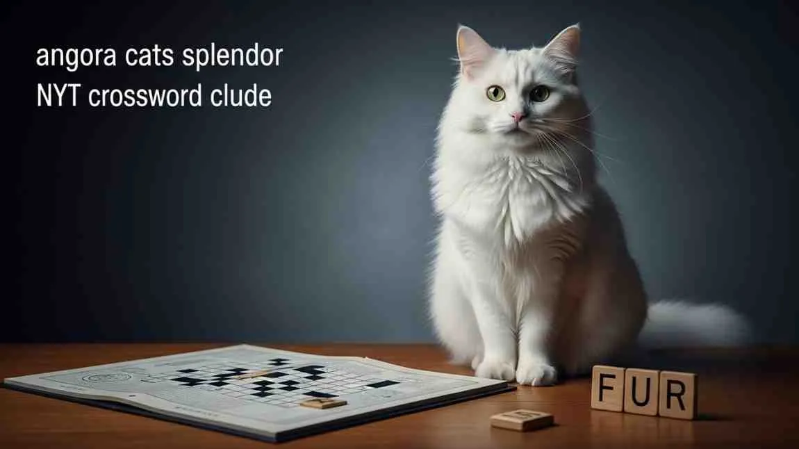 angora cats splendor nyt crossword clue