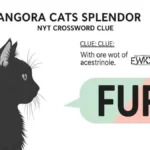 angora cats splendor nyt crossword clue