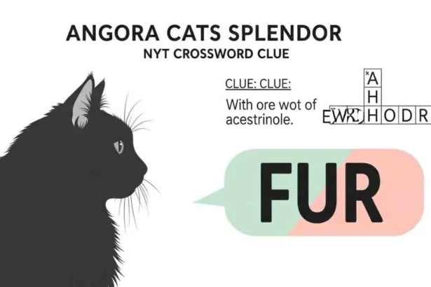 angora cats splendor nyt crossword clue