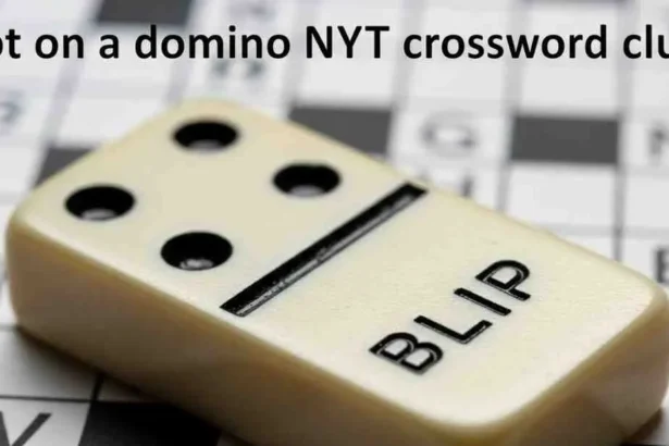 dot on a domino nyt crossword clue