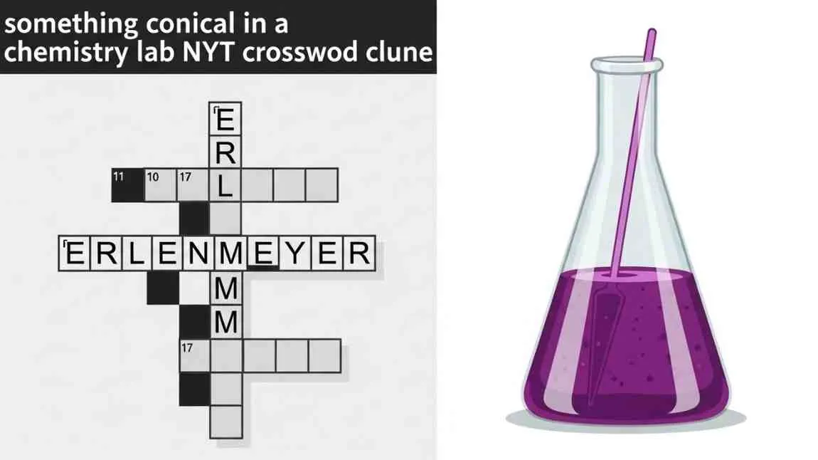 something conical in a chemistry lab nyt crossword clue