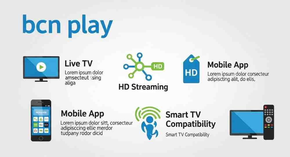 BCN Play: Understanding the Digital Entertainment Ecosystem and Streaming Solutions 21 bcn play